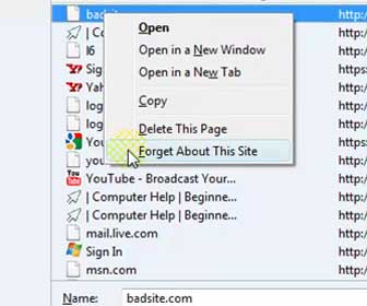 How-To Use a New Firefox 3.5+ Feature, “Forget About This Site”